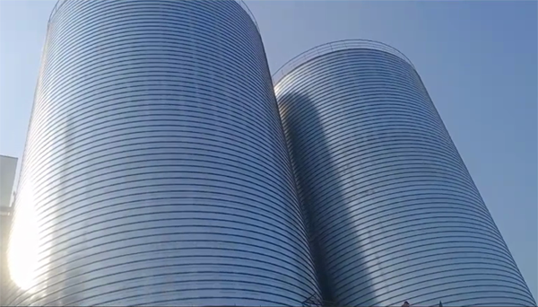 轮台2座混凝土高架卷板仓